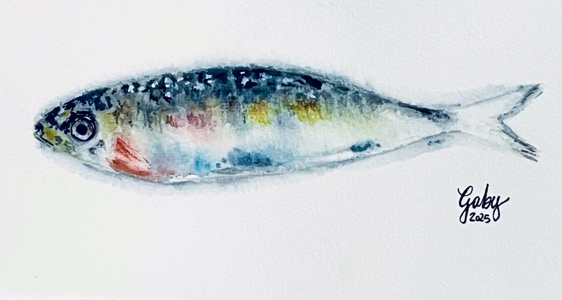 Sardine